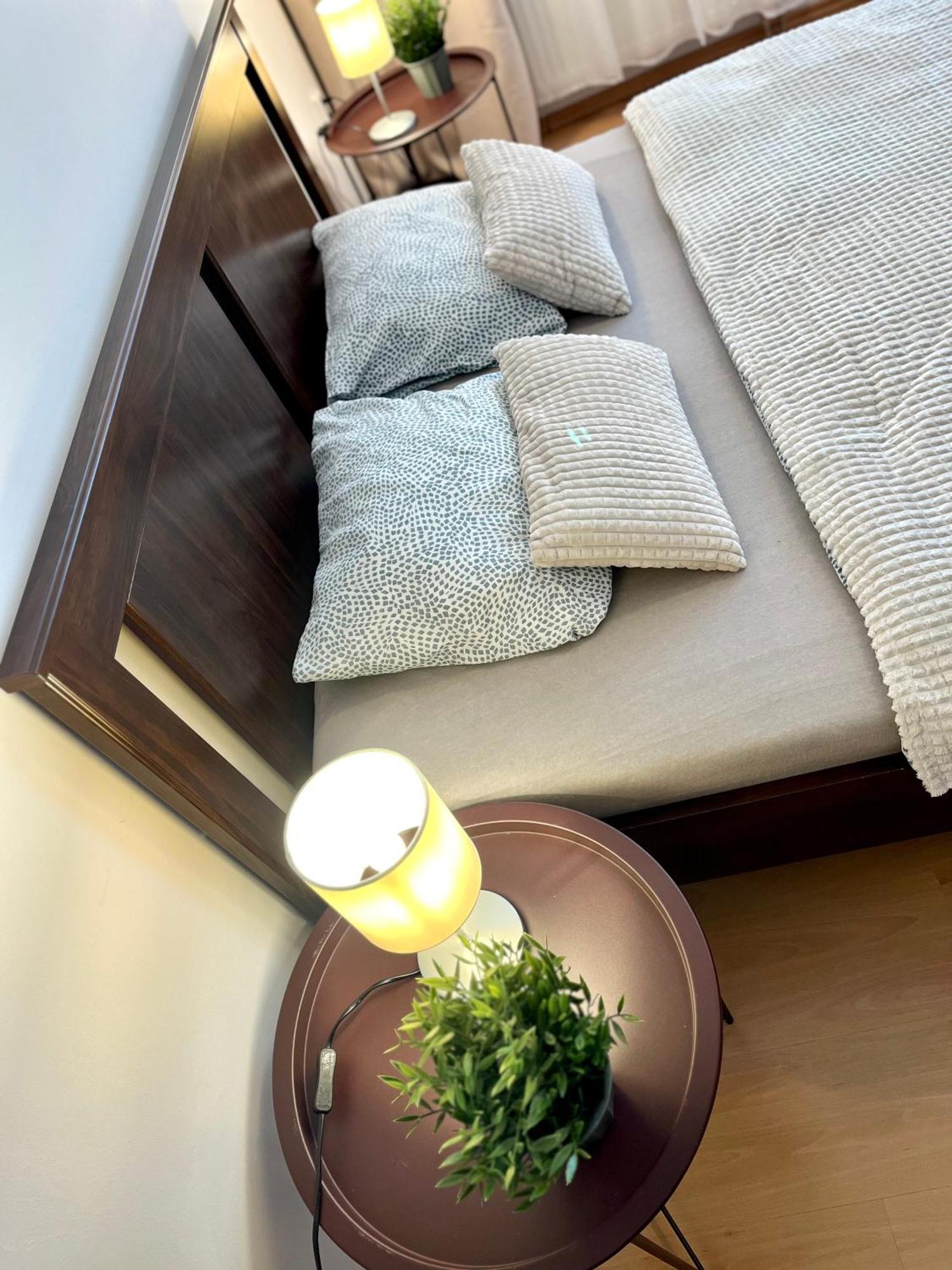 Apartment Tina - Old Town, Ac, Free Private Parking Bratysława Zewnętrze zdjęcie