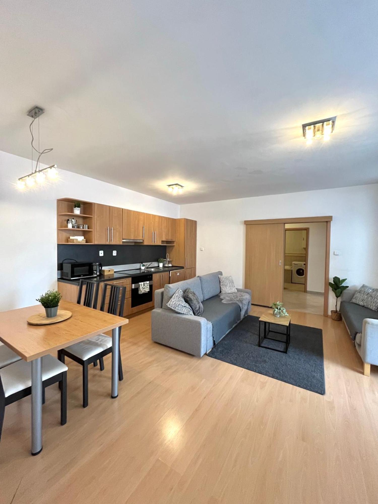 Apartment Tina - Old Town, Ac, Free Private Parking Bratysława Zewnętrze zdjęcie